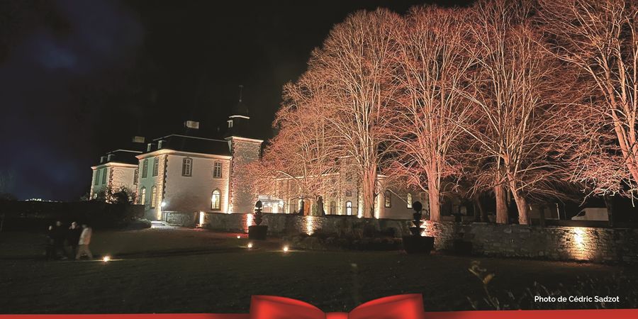 image - Marché de Noël au Château de Deulin