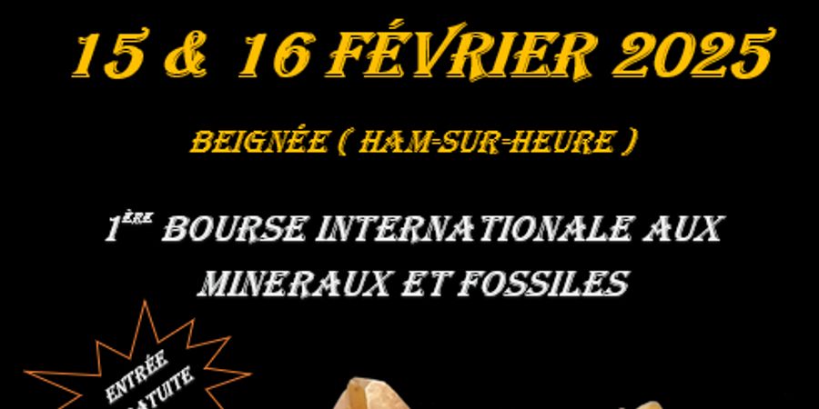 image - bourse internationale minéraux et fossiles