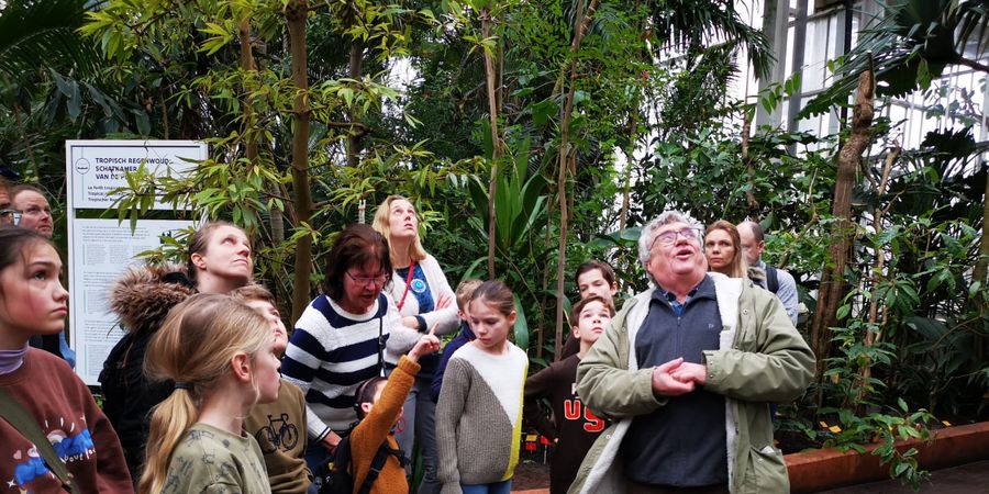 image - Winter wonders in de Plantentuin