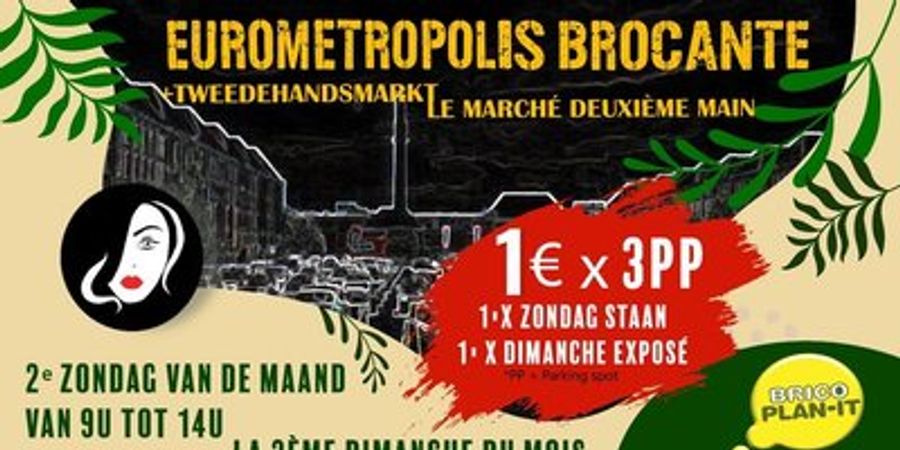 image - Eurometropolis brocante op zondag