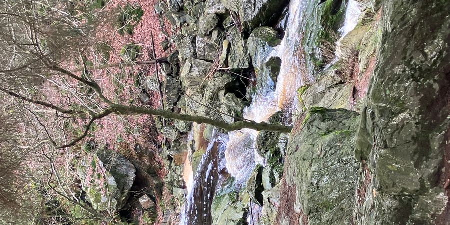 image - La balade des cascatelles au lieu-dit Pont de Belleheid à Sart-Lez-Spa