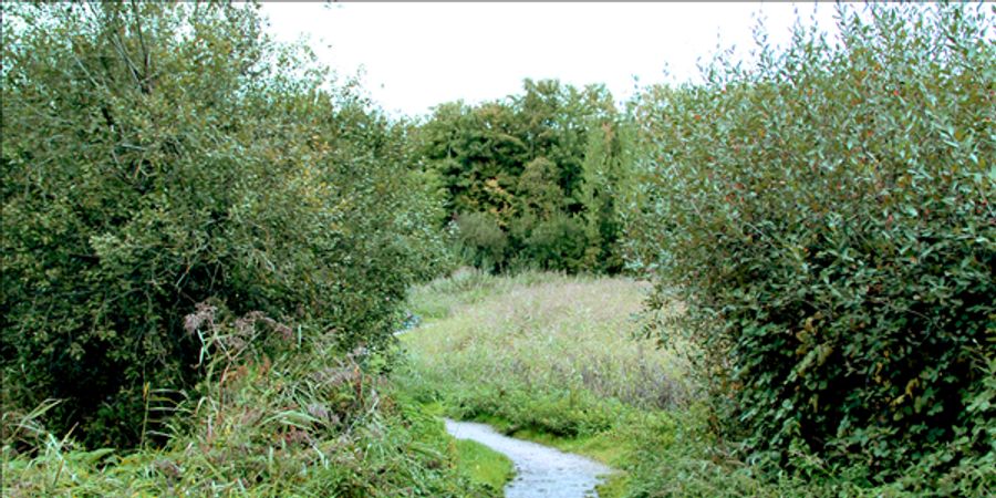 image - Familiezondag: begeleide natuurwandeling