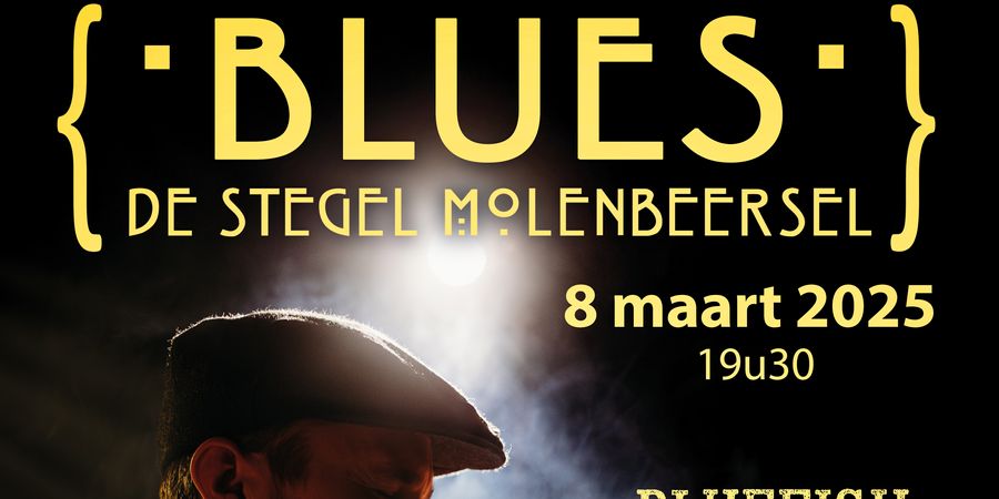 image - BLUES DE STEGEL