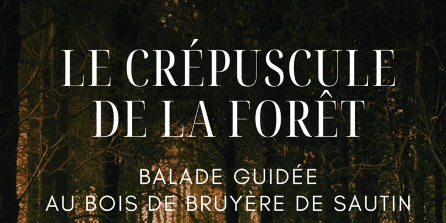 image - Le crépuscule de la forêt - Balade guidée