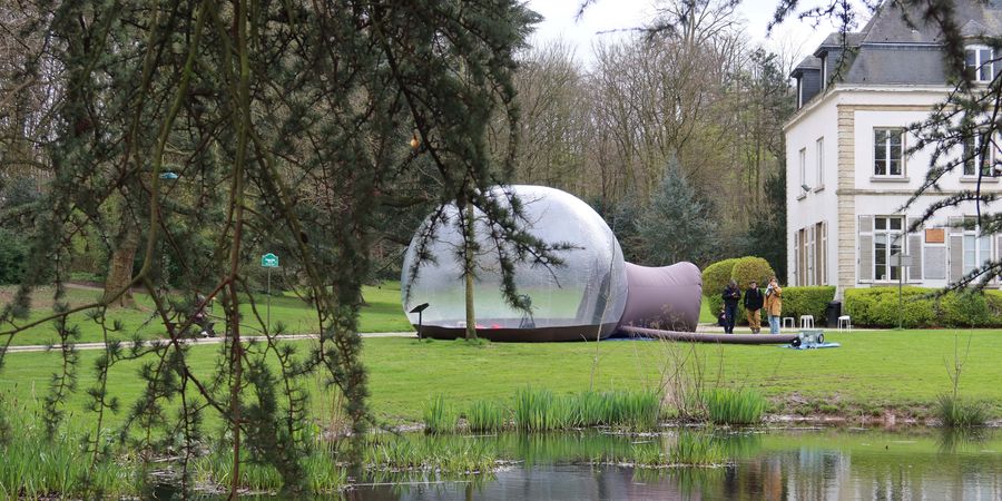 image - Les Zinopinées - Bulle d'eau par Nathalie Gillet