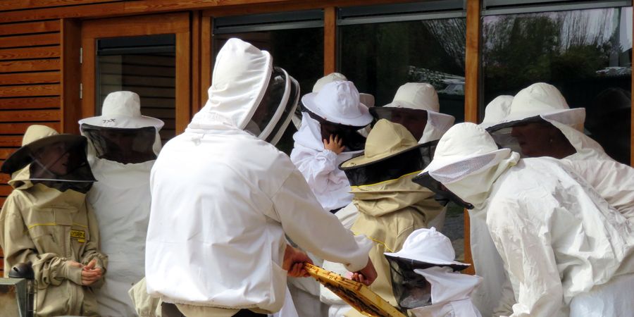 image - Fête du miel et de la nature