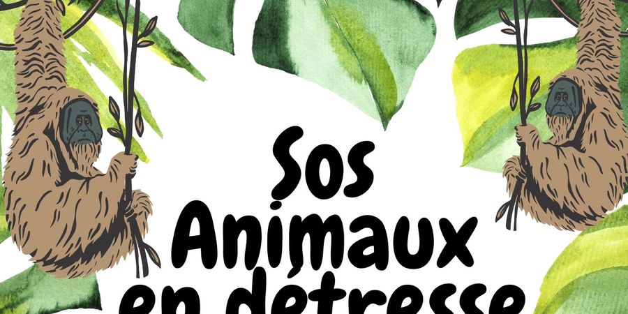 image - SOS Animaux en détresse