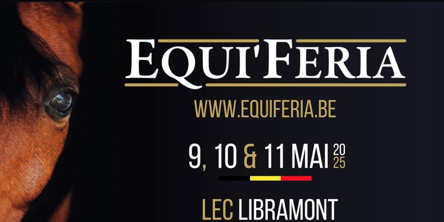 image - Equi'Feria