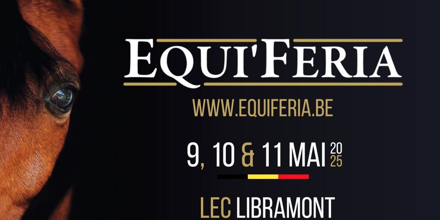 image - Equi'Feria