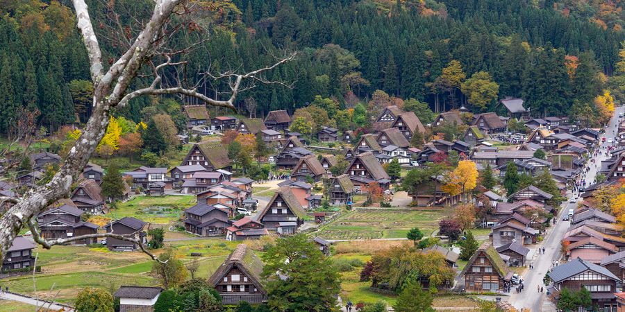 image - LE JAPON, ou les aventures de Sakura au pays des gais chats