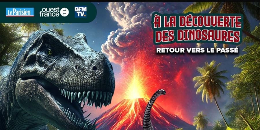 image - A la découverte des dinosaures 