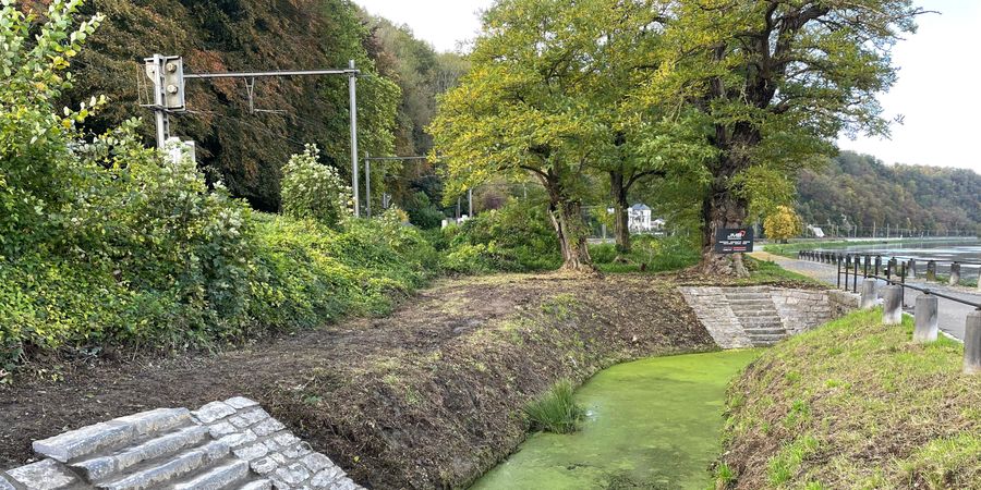 image - Visite Flash : Sur les traces des lavandières de Bouvignes