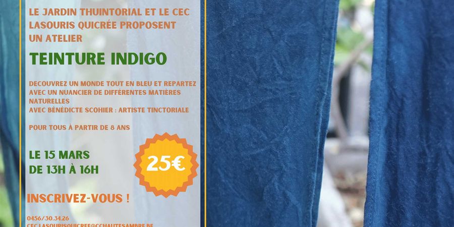 image - Workshop : Teinture Indigo 