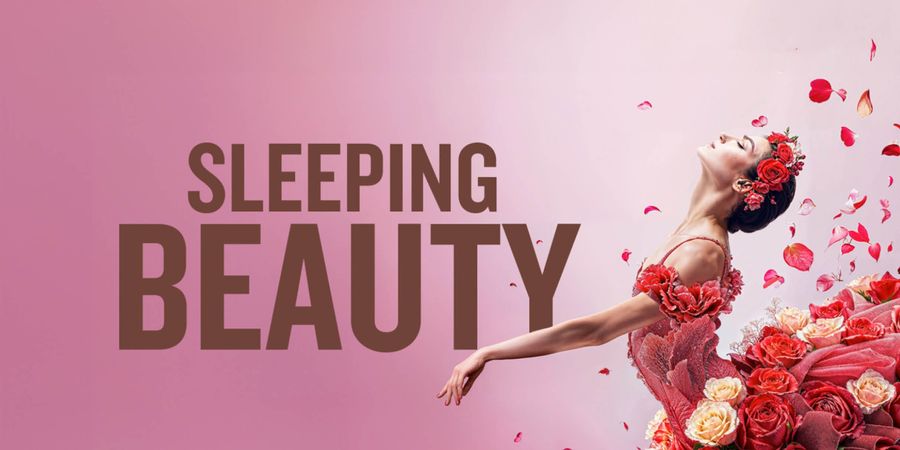 image - The Sleeping Beauty