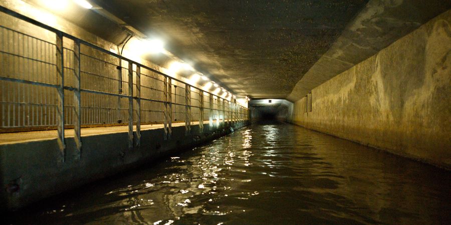 image - Journée mondiale de l'eau au Musée des Égouts