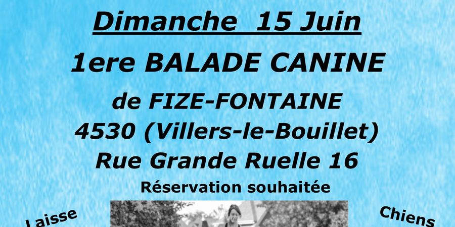 image - 1ere Balade canine de Fize-Fontaine (Villers-le-Bouillet)