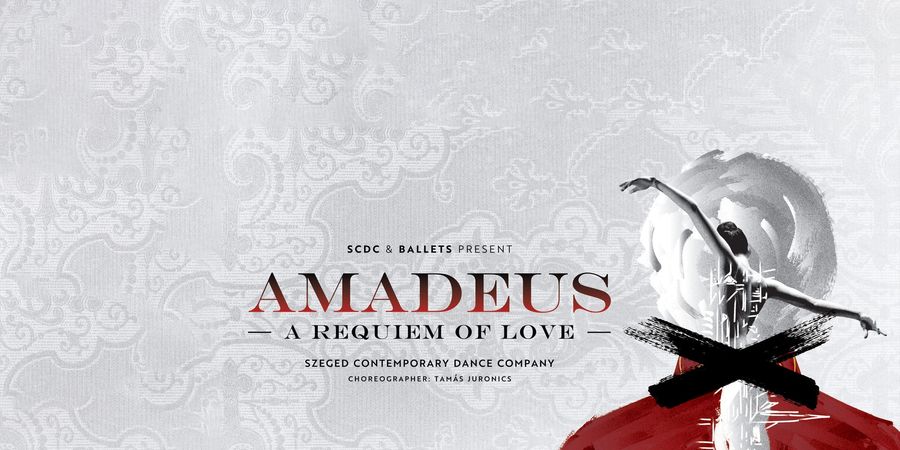 image - Amadeus