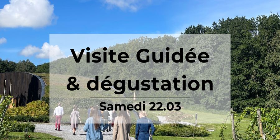 image - Visite Guidée du Vignoble du Château de Bousval