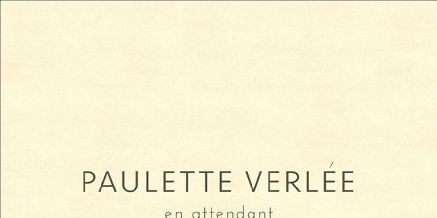 image - Veerle Pollet voorstelling