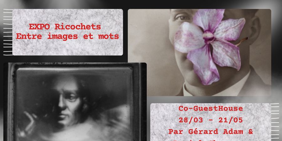 image - EXPO : Ricochets - Entre images et mots par Gérard Adam et Daniel Charneux