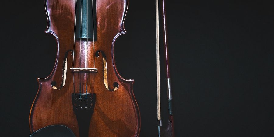 image - Optreden Diridon (muziekgroep met oude instrumenten)