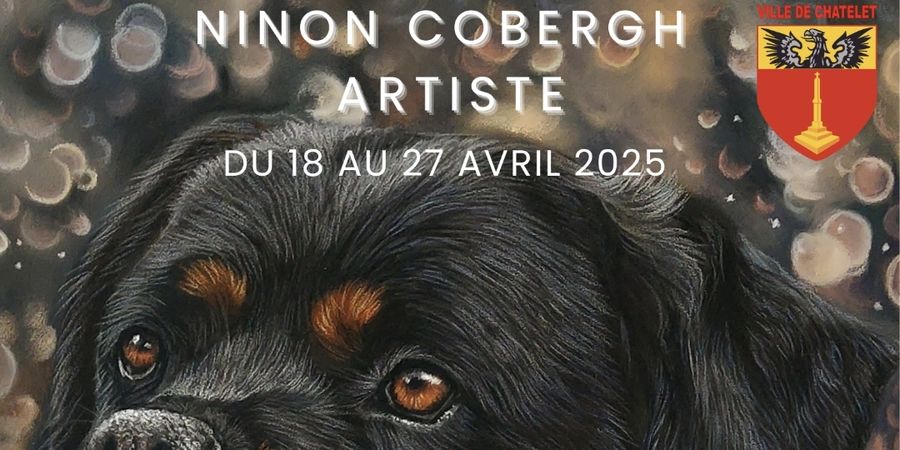 image - Art Animalier hyperréaliste au pastel sec par Ninon Cobergh