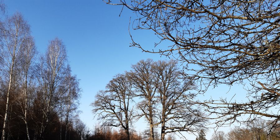 image - PROMENADE SUR LES HAUTEURS DE SPA, AU DEPART DU VILLAGE DE CREPPE