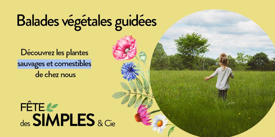 image - Balade nature à la découverte des plantes sauvages