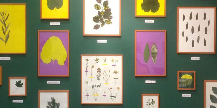 image - Collections