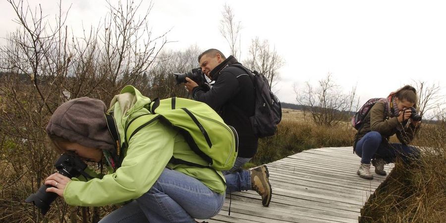 image - Stage Photo, Randonnée dans la Forêt de St-Michel