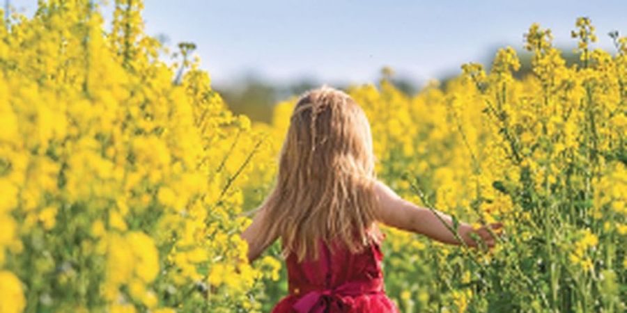 image - Stage Enfants : A fleur de Peau
