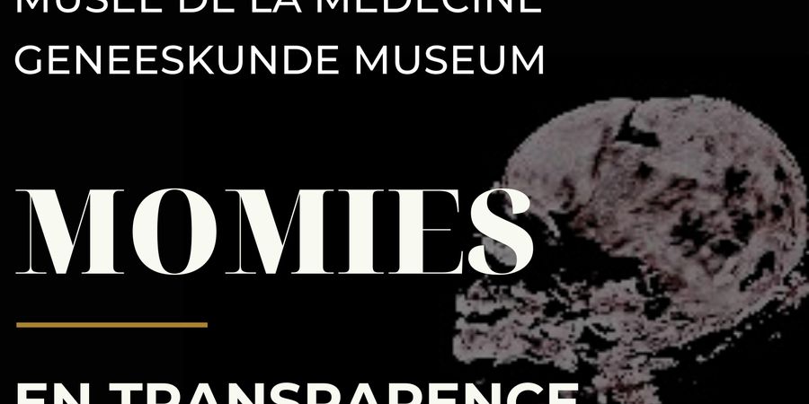 image - Momies en transparence 