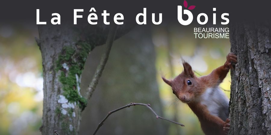 image - Fête du Bois