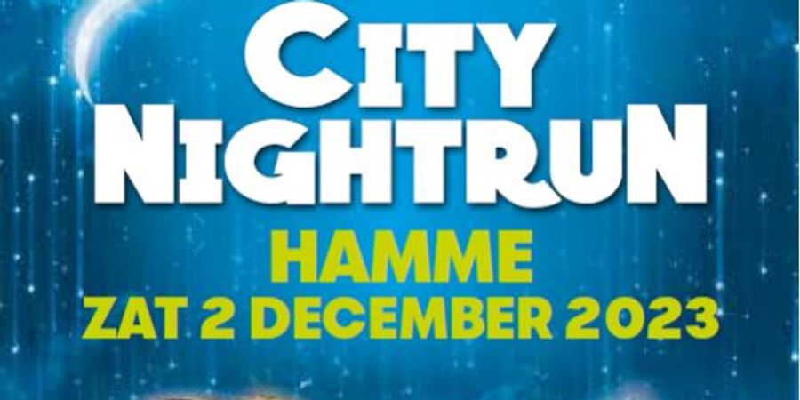 image - City Nightrun Hamme