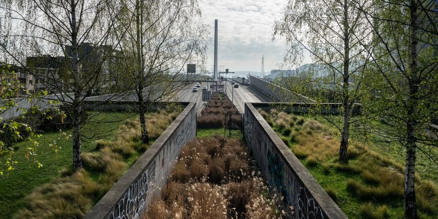 image - Regard de Marc Wendelski dans le cadre d'Archidoc #07 : Anne Rondia, architecte et paysagiste