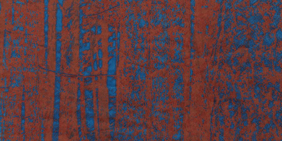 image - Gilles Van Impe