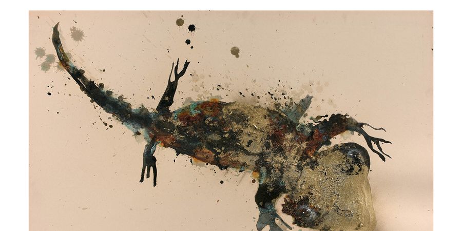 image - Lionel Sabatté, de la terre à la lune