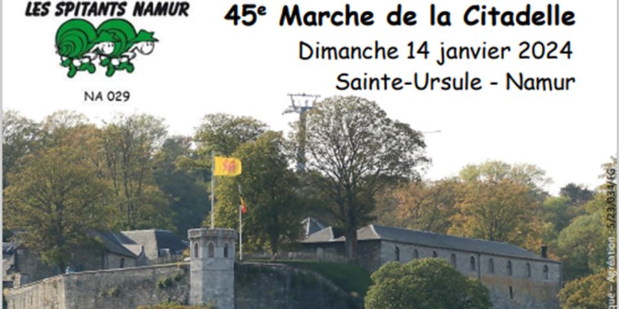 image - 45e Marche de la Citadelle
