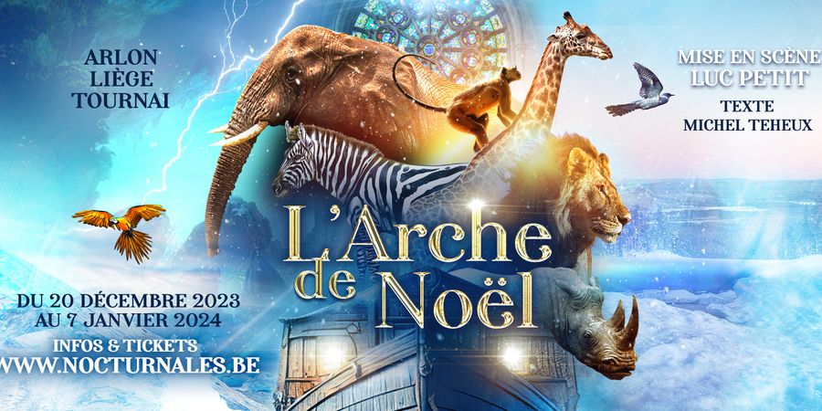 image - L'Arche de Noël