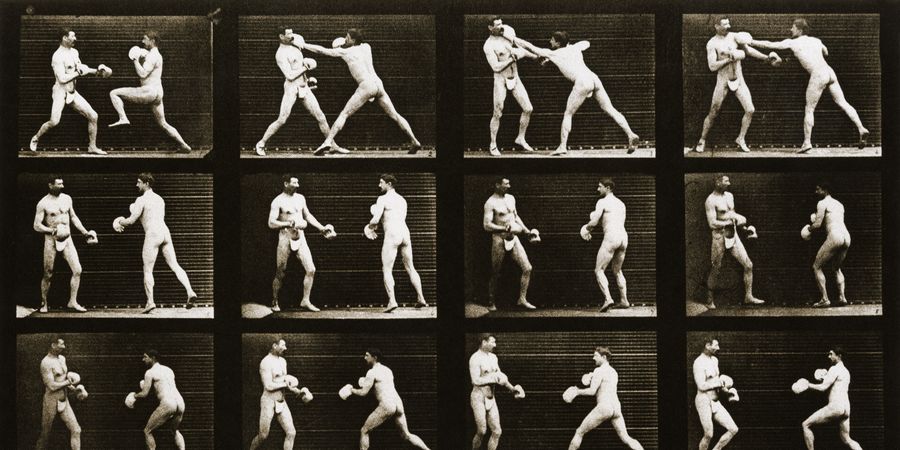 image - Le temps suspendu du mouvement. Eadweard Muybridge dans l'art contemporain par G. Le Gall, Sorbonne