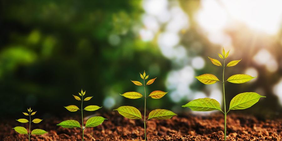 image - Soirée d'info et de découverte des apports d'une formation au coaching