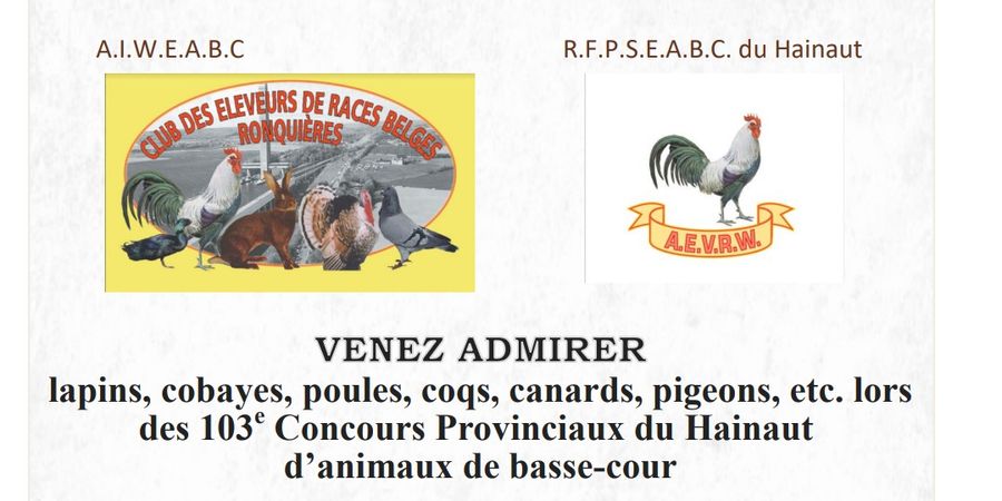 image - Exposition de petit élevage d'animaux de basse cour