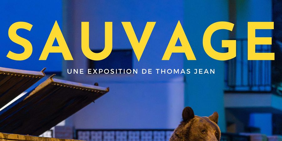 image - Sauvage