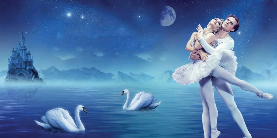 image - Swan Lake
