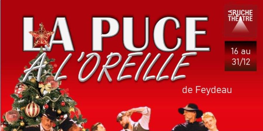 image - La puce à l'oreille