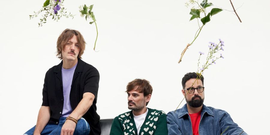 image - Puggy