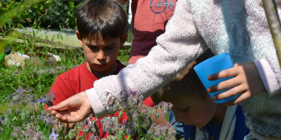 image - Ferme et nature (4 à 6 ans)