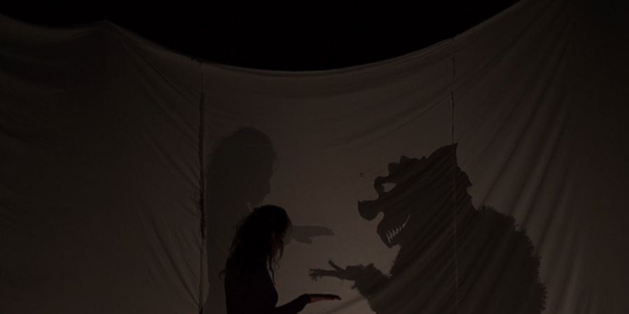 image - La valse aux monstres