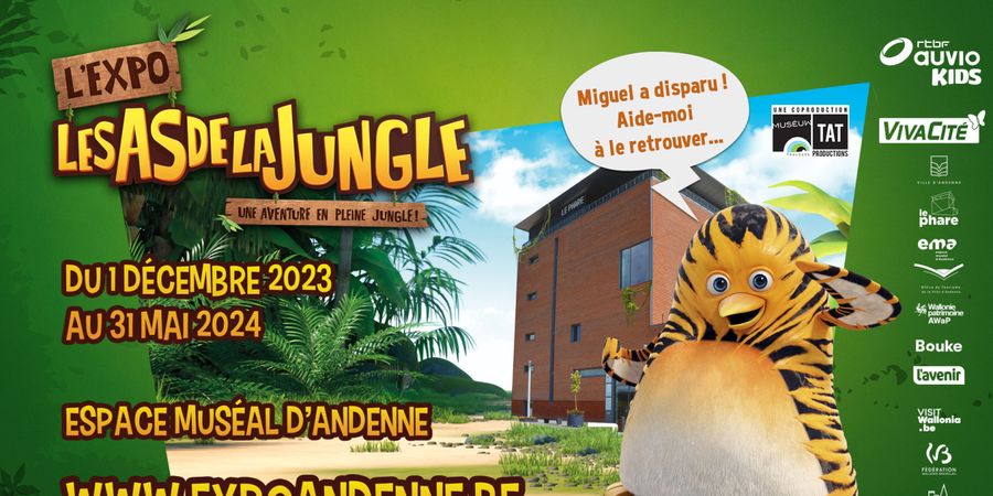 image - Les As de la Jungle