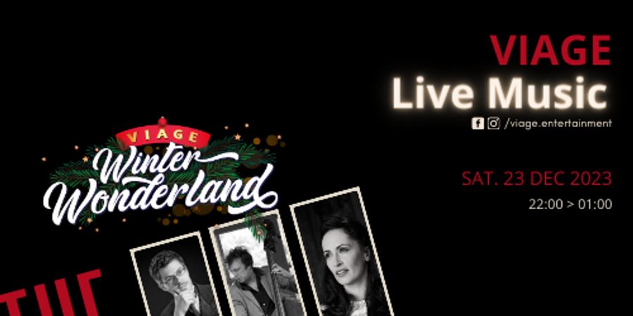 image - VIAGE Live Music // The Moodswings